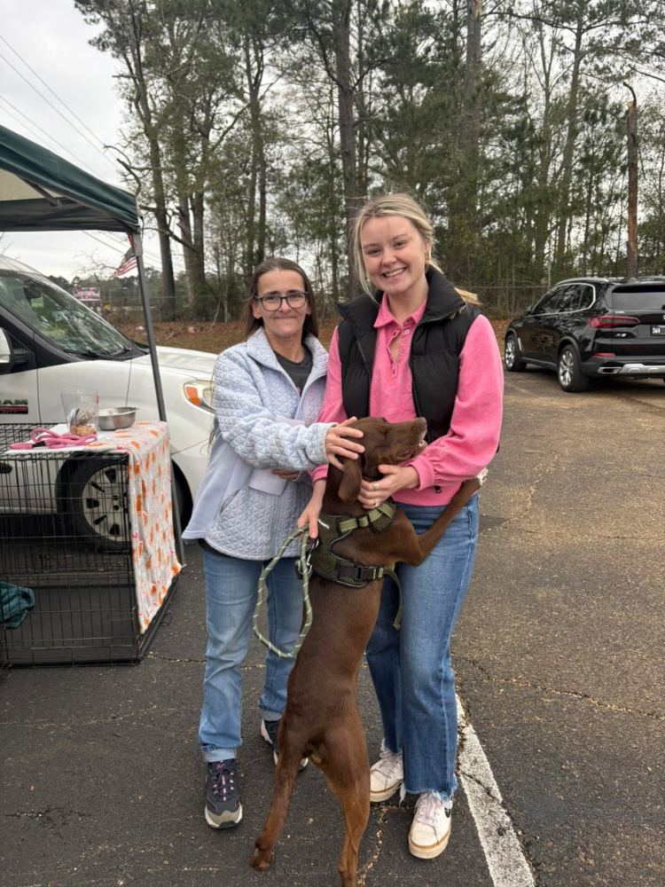 Dog Rescue Pike County MS